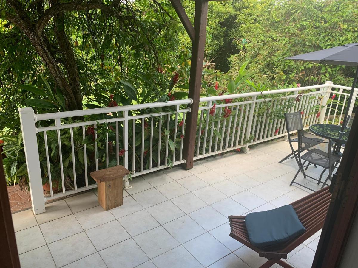 Logement Vacances Gissac Sainte-Anne Dış mekan fotoğraf